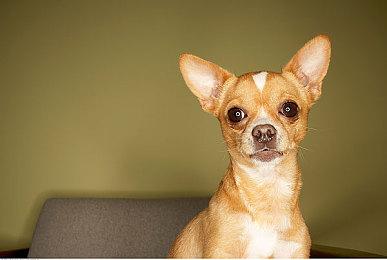 《战地》22年老将离开DICE EA规划《战地》的新未来